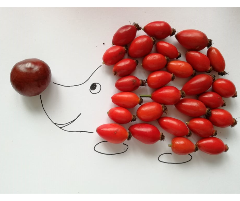 tvoření z přírodnin ježek asuper aktivita pro děti v mš i na ven